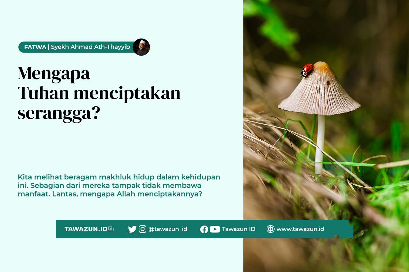 FOTO Ilustrasi serangga (Unsplash/Brenkee)