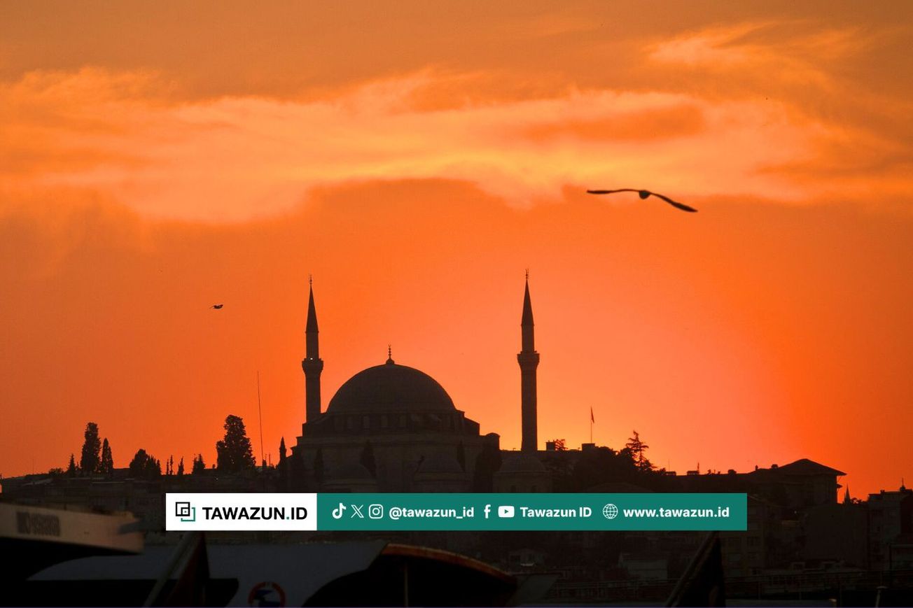 FOTO Siluet masjid di Istanbul, Turkiye. (Unsplash/Simon Infanger)
